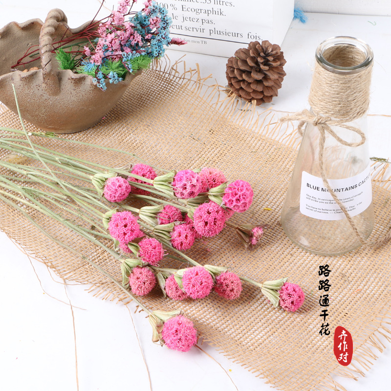 Luantong flor seca fruta de arce flor eterna fruta seca luantong decoración del hogar arte arreglo floral flor seca al por mayor