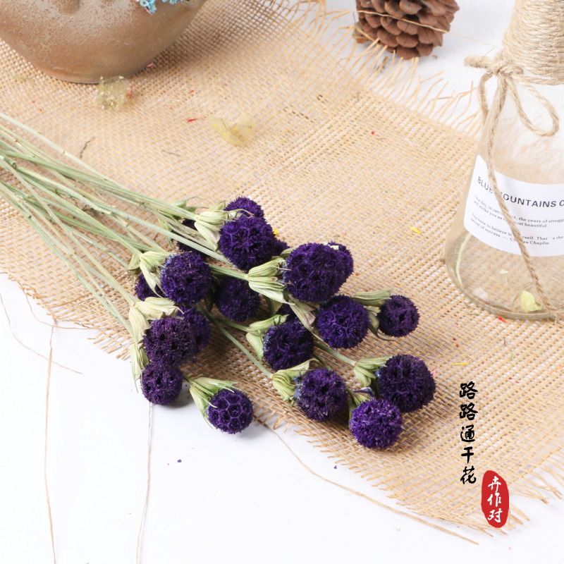 Luantong flor seca fruta de arce flor eterna fruta seca luantong decoración del hogar arte arreglo floral flor seca al por mayor