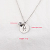 Zodiac signs, necklace stainless steel, European style, mirror effect