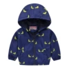 3001-29 Deep Blue Demon
