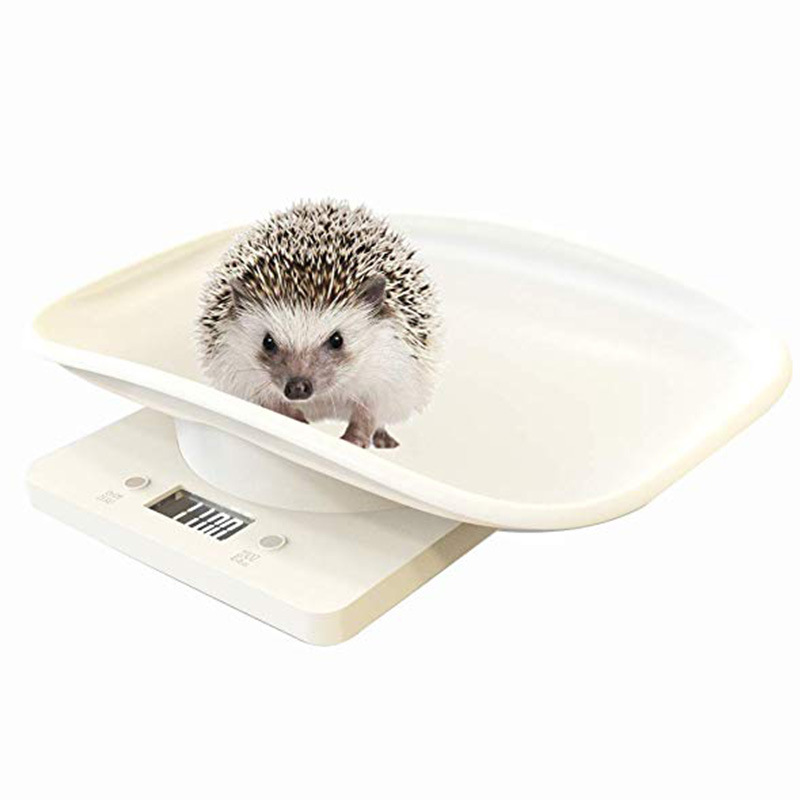 宠物体重秤猫咪狗狗称重器家用小动物新生儿电子秤精准测量宠物