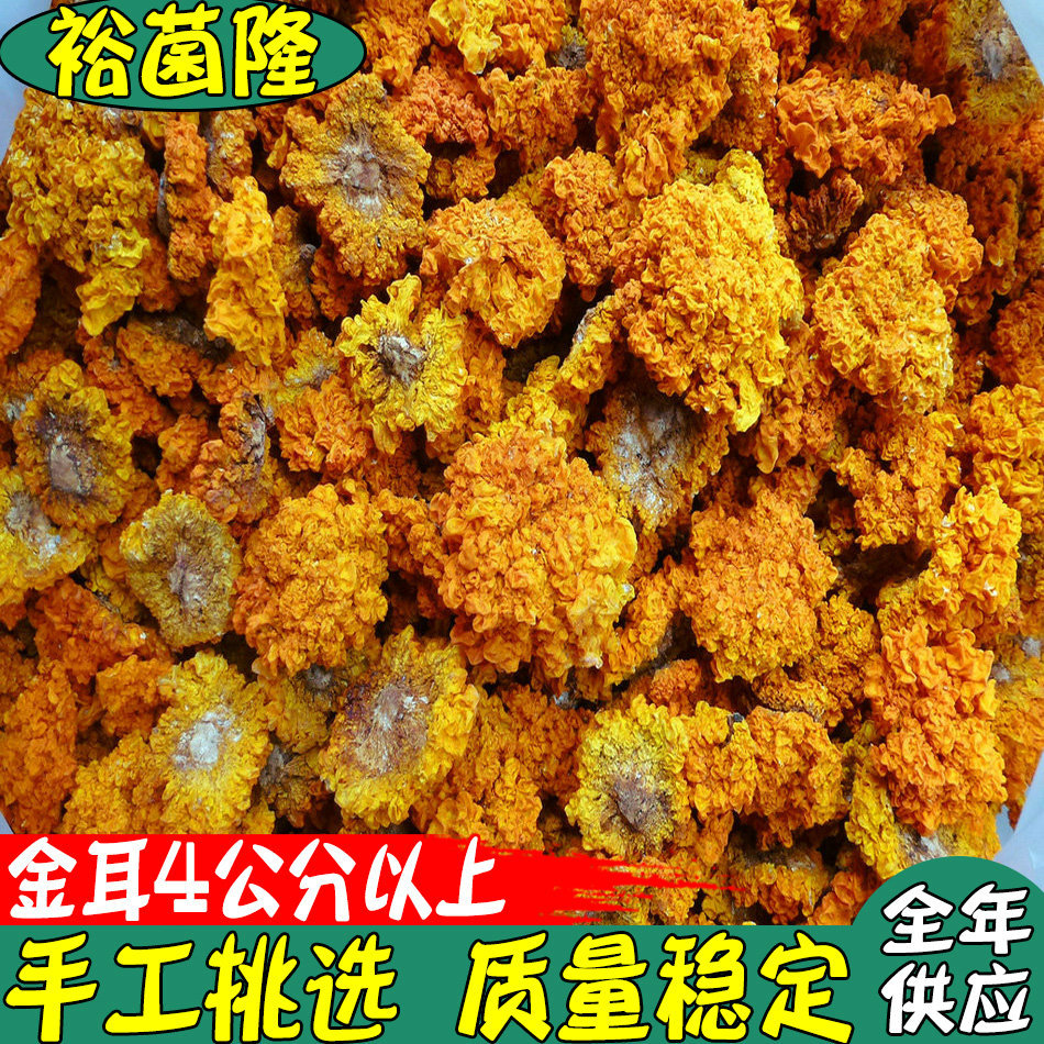 【裕菌隆】 金耳 黄耳 手工挑选4公分以上 干金耳 产地大货批发