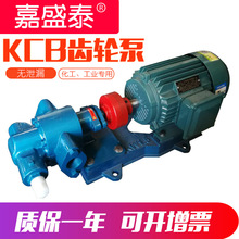 淘货源批发 KCB55齿轮泵 小型铸铁电动抽油泵 微型kcb涂料齿轮泵