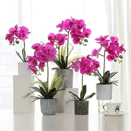 仿真绿植;仿真盆栽;仿真花