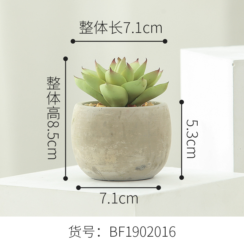 Planta suculenta artificial, maceta decorativa para hogar, bonsái verde, accesorio decorativo