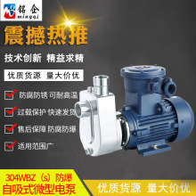 循环增压离心抽水泵 防爆款304WBZS自吸式耐腐蚀微型电泵 化工3KW