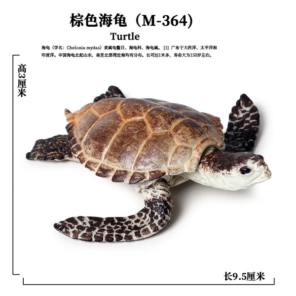PL127-364 Turtles