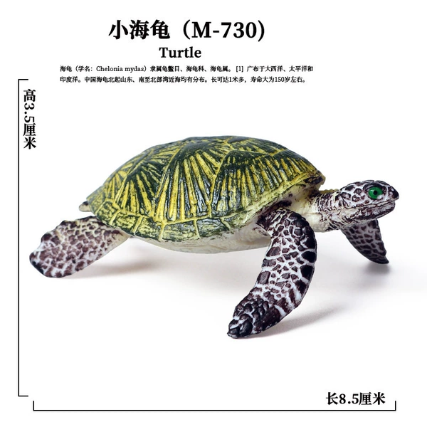 PL127-730 Little Turtle