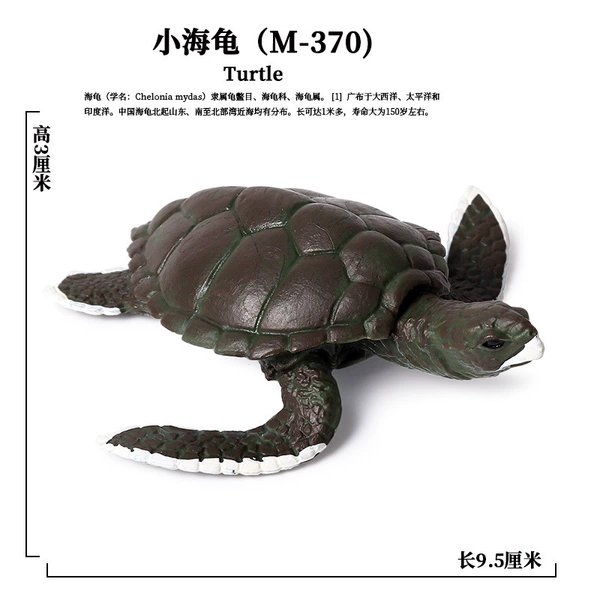 PL127-370 turtle