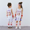 Lakers No. 23