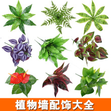 仿真绿植塑料波斯草仿真植物墙配材背景墙布置绿叶子装饰绿植墙