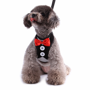 Factory wholesale dog chain dress cat chain vest pet leash small and medium-sized dog pet dog supplies Teddy leash