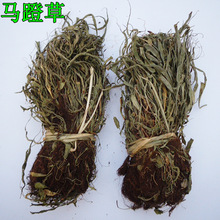 ���l��ș�� �R�Ų� �^��� ߀ꖲ� Сʯ�f �R�Ų� �R��������ă�