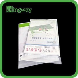 其他塑料薄膜;其他日用包装;塑料自封袋