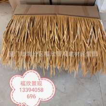 �S��ֱ�N���l�ؑc���^����é���� ��������é�����Xé�� ���浾��