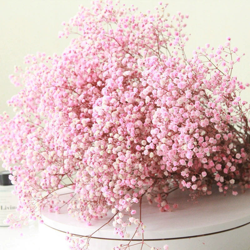 Высококачественные сухие цветы из baby's breath 400 г фабрика Рапсоди Iros натуральный букет сухоцветов оптом