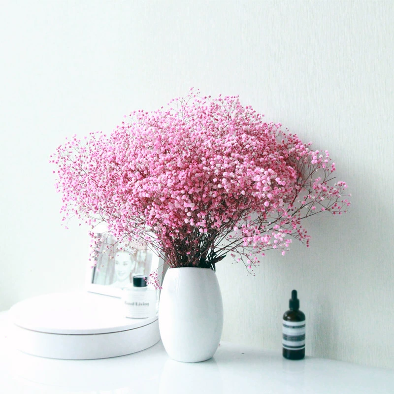 Высококачественные сухие цветы из baby's breath 400 г фабрика Рапсоди Iros натуральный букет сухоцветов оптом