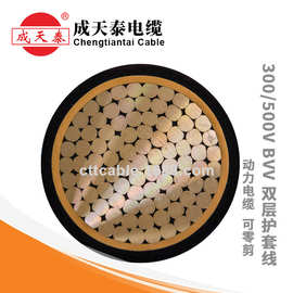 成天泰电缆BVV(双层绝缘)电线电缆可零剪25/50/70/95/120/185mm^2