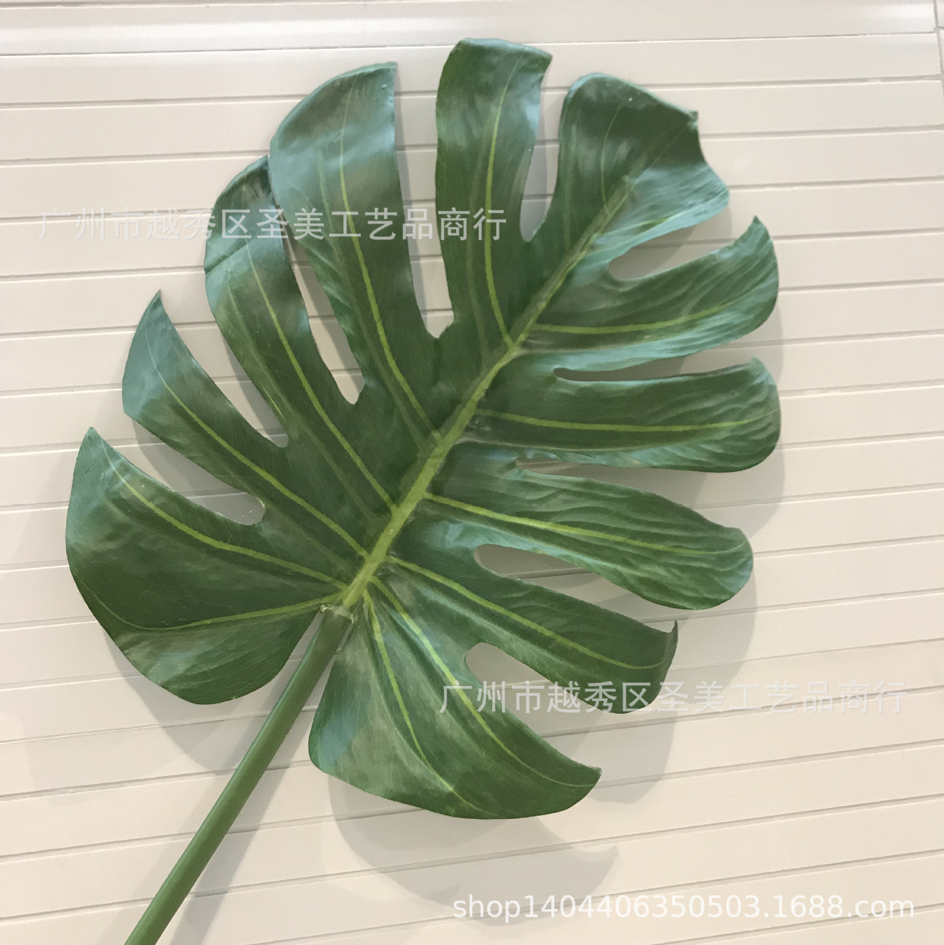 접착제로 큰 거북이 뒤 잎