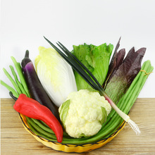 ?�������߲�ˮ��ģ�͈������ÏN���[���zӰ������@ܛ�b���