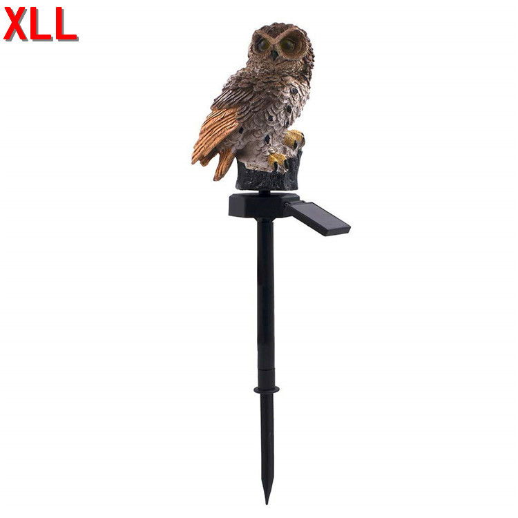 다크 브라운 올빼미