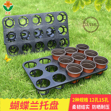 �S�����l����Ѩ�P �����m�бP 12��15�� �����������м�