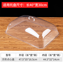 ʳ���� PET����͸�����ӱ��ر��r�����L�����wչ���������������l