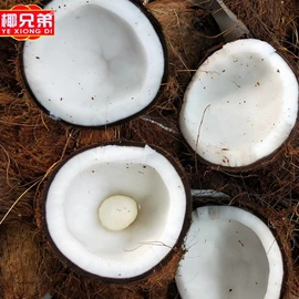 椰类果干;硬糖;烘焙原料