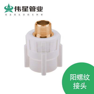伟星PPR  白色家装PPR水管 阳螺纹接头  工厂直供  当天发货