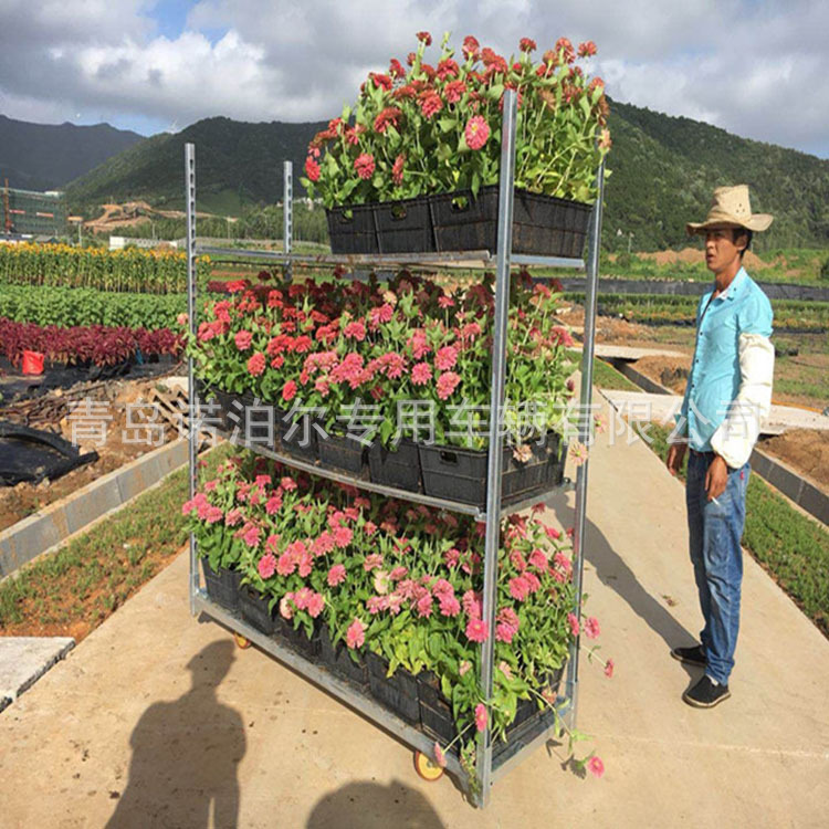 厂家直销热镀锌处理固定苗床大棚育苗床 移动苗床潮汐苗床育苗床