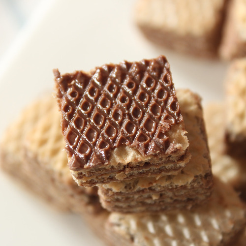 Loacker Chocolate Hazelnut Wafer Cookies, an Italian Imported Popular Snack for Foodies