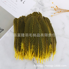 珍珠斑点羽毛厂家批发珍珠窝翎羽毛DIY饰品配件辅料纯羽毛材料