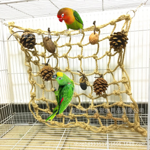 ����С���W�^����B��߈Թ���ҧ�����Ȥ�����W �������W�^����