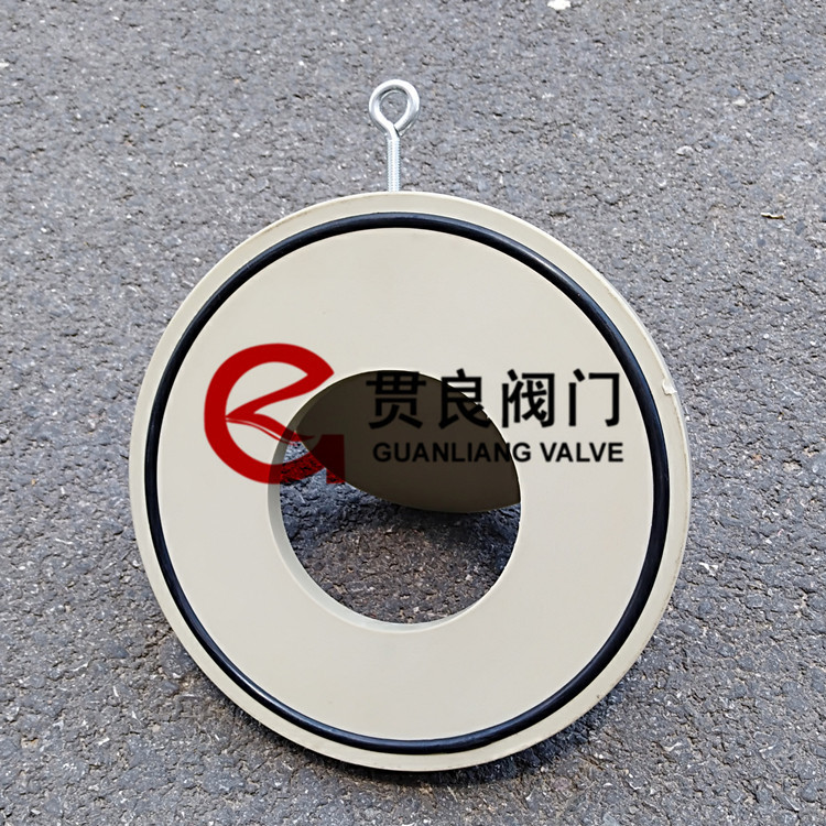 PP对夹式单向阀 聚丙烯塑料防腐耐酸碱专用止回阀DN50 65 80 100