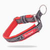 Factory direct selling dog arena P chain training neck ring semi -P chain explosion -proof training collar, dog trainer