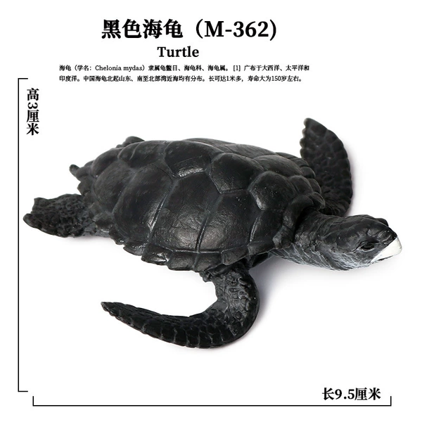 PL127-362 Turtles