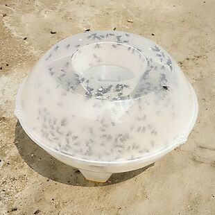 �nω��׽����ω�\��ω����ω�������T���\�����Bֳ����������