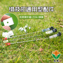 ��֦�C����������t�����ѽ�������Ƭ�C�^���������