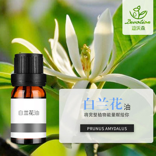 ���m������Magnolia Flower oil�����沿����Ժ��Ħ��޹�{��ԭ��