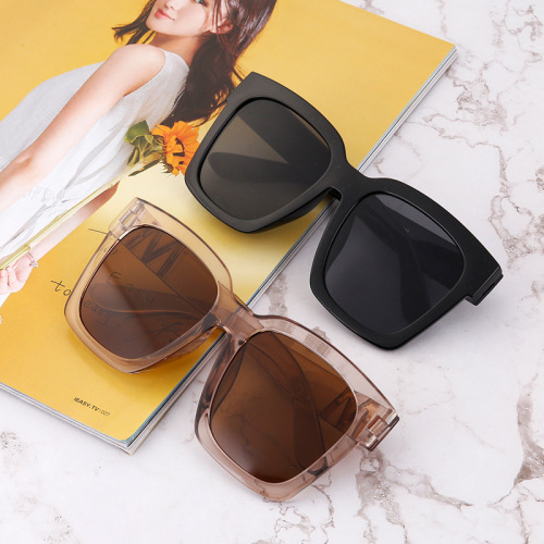 New style large frame unisex sunglasses Trendy black sunglasses D016 flat lenses plastic frame metal accessories