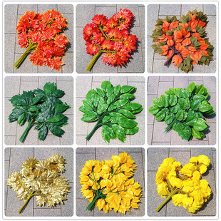 �a��؛Դ �٘�֦ ����t���~ �t��֦ �lؔ�� ���m֦ â��֦ ���l