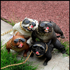 Car ornament vicious dog car ornament bull dog car interior personalized decoration social dog car accessories wholesale