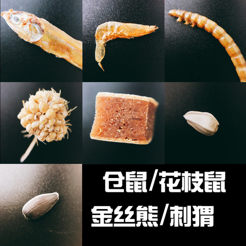 Taobao source for delivery, hamster snacks, hamster snacks, dried fish, dried shrimps, mealworms, grains, melon seeds, yellow grains, dried cod