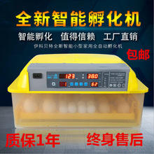 全自动孵化机小型孵化箱家用微型孵化设备鸡鸭鹅小鸡孵化器