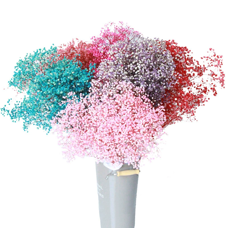 Высококачественные сухие цветы из baby's breath 400 г фабрика Рапсоди Iros натуральный букет сухоцветов оптом