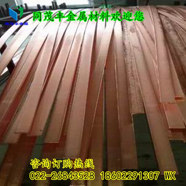 防雷接地模块 镀铜扁钢 紫铜棒接地极铜包钢接地棒 电解离子接地