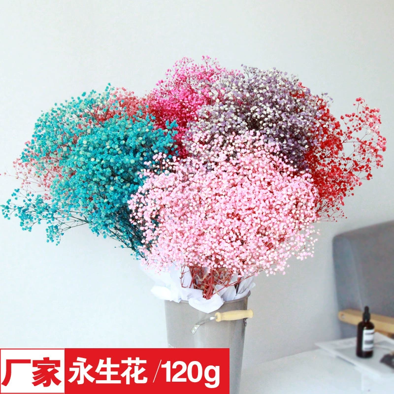 Высококачественные сухие цветы из baby's breath 400 г фабрика Рапсоди Iros натуральный букет сухоцветов оптом