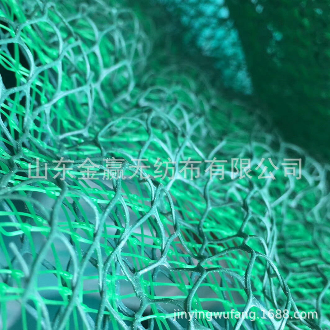 三维植被网 绿化三维植草土工网垫 护坡三维网 土工网垫 草皮网