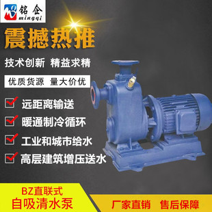 BZֱʽ������ˮ�� ZB �ߓP�̴������r��ˮ�� 65BZ20-15-2.2KW