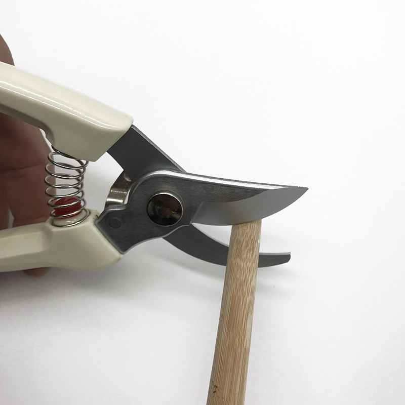 金星不锈钢锈树枝修枝剪摘水果花木剪园林修枝剪园艺修树剪镀硬铬